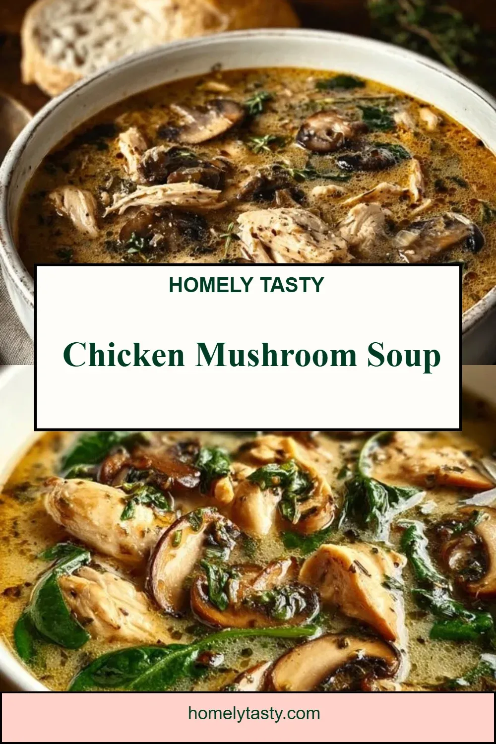 Chicken Mushroom Soup
