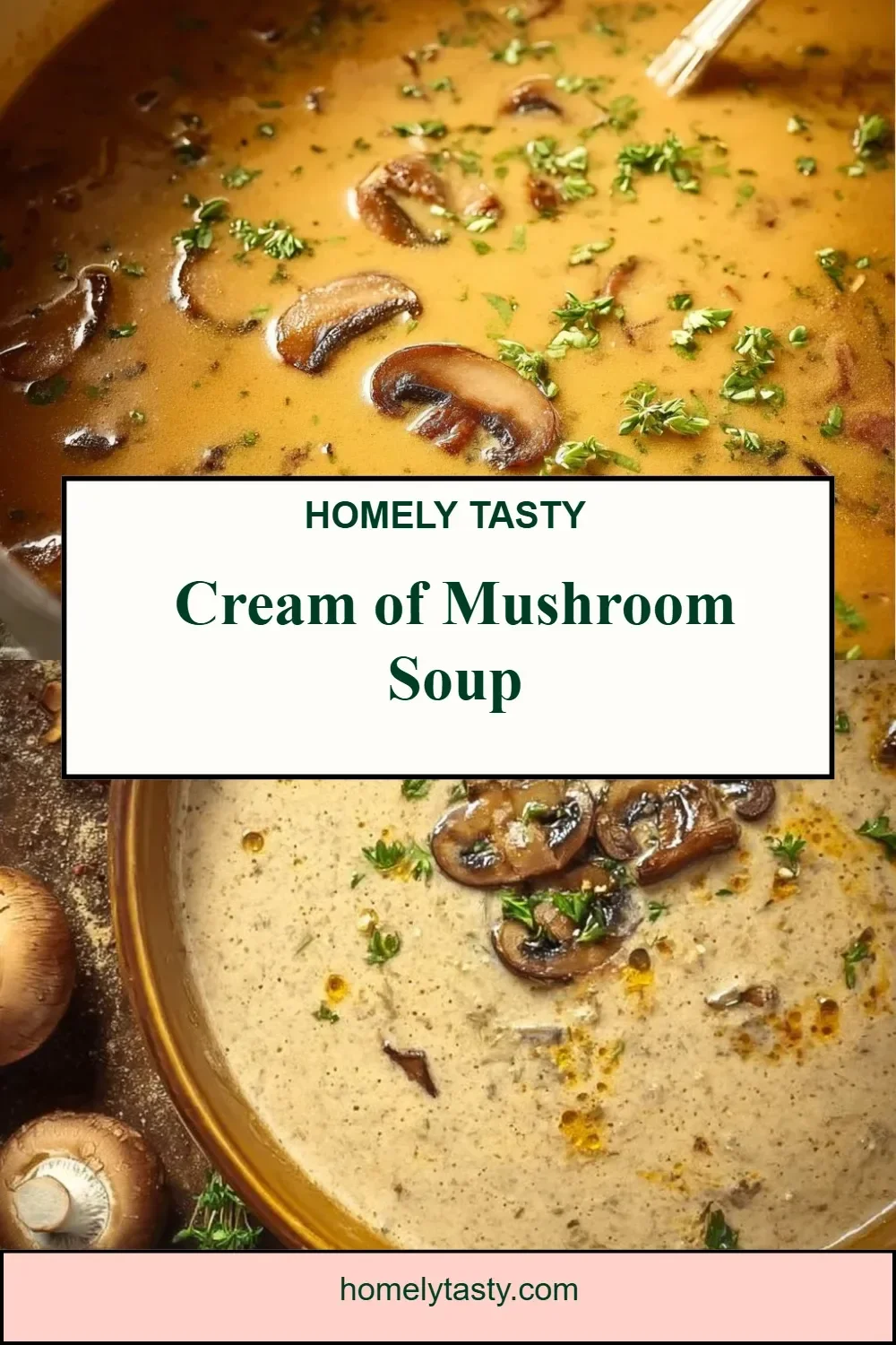 Cream of Mushroom Soup
